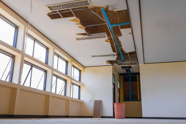 Best Local water damage restoration  in Cave Springs, AR