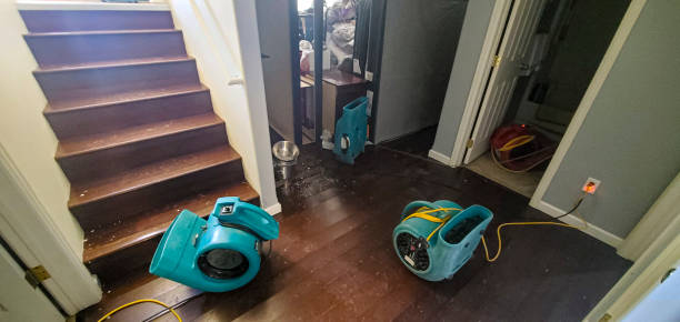 Best Water damage restoration insurance claims  in Cave Springs, AR