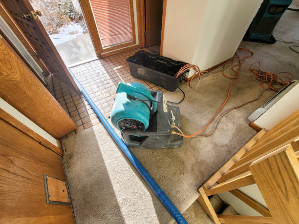 Water damage restoration insurance claims in AR