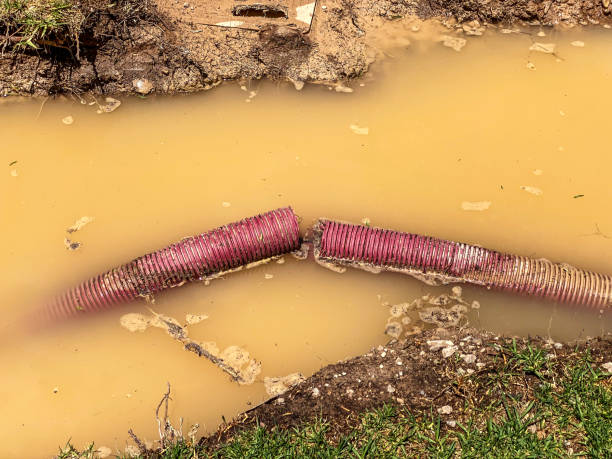 Best Emergency water damage restoration  in Cave Springs, AR