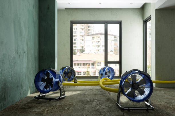 Best Water damage cleanup near me  in Cave Springs, AR